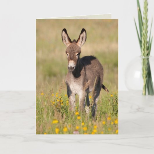 "Golden Meadows" - Wenskaart Kaart (Voorkant)