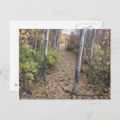 Golden medalleeuwen bedekken de route briefkaart (Voorkant / Achterkant)