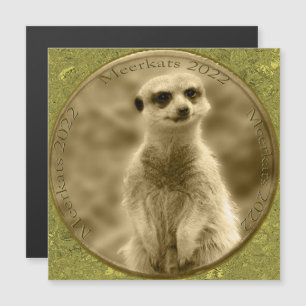 Golden Meerkat 2022 Munt, magnetische Kaart