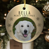 Golden Metallic Snowflake Dog foto Keramisch Ornament