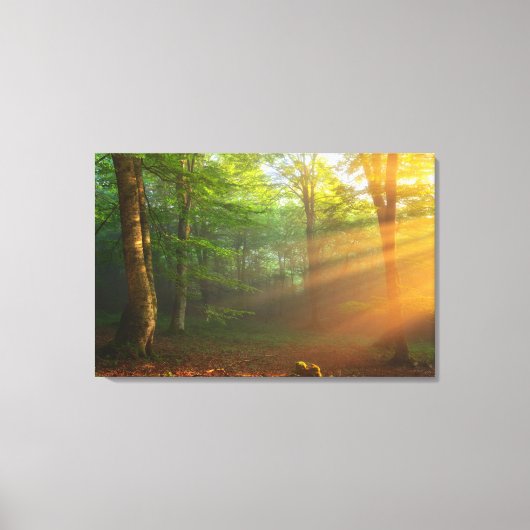 Golden Moment van licht Canvas Afdruk (Voorkant)
