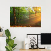 Golden Moment van licht Poster (Thuiskantoor)