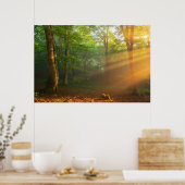 Golden Moment van licht Poster (Keuken)