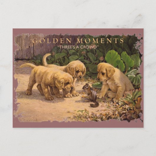 GOLDEN MOMENTEN-Drie is een kruid Briefkaart (Voorkant)