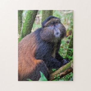 Golden Monkey, Rwanda Legpuzzel