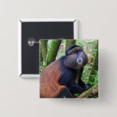 Golden Monkey, Rwanda Vierkante Button 5,1 Cm (Voorkant /achterkant)