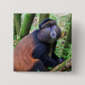 Golden Monkey, Rwanda Vierkante Button 5,1 Cm (Voorkant)