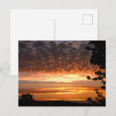 Golden Morning Briefkaart (Voorkant / Achterkant)
