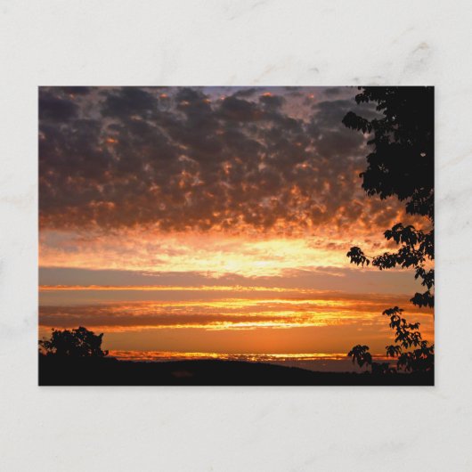 Golden Morning Briefkaart (Voorkant)