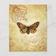 Golden Moth scrapbook