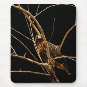 Golden Mousepad Muismat