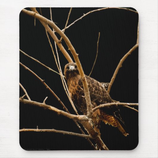 Golden Mousepad Muismat (Voorkant)