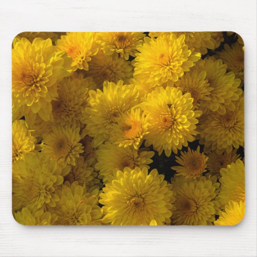 Golden Mums Muismat (Voorkant)