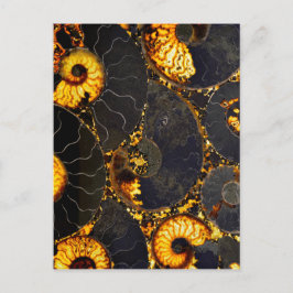 Golden Nautilus Briefkaart