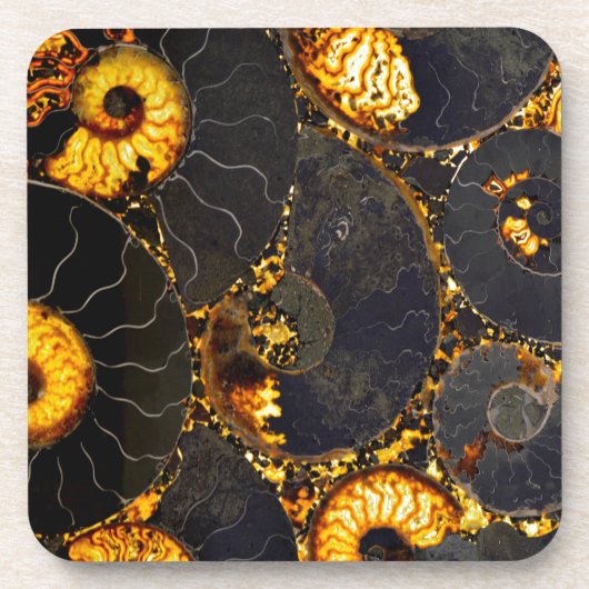 Golden Nautilus Drankjes Onderzetter (Voorkant)