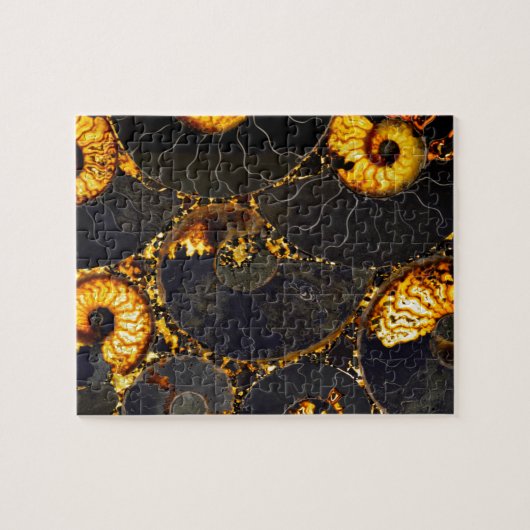 Golden Nautilus Legpuzzel (Horizontaal)