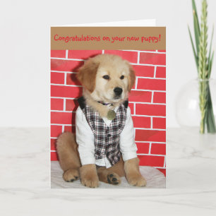 Golden New Puppy Kaart