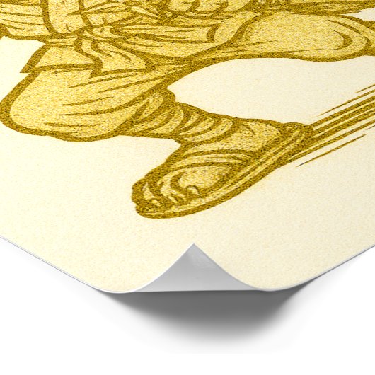 Golden ninja cat poster (Hoek)