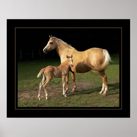 Golden Nugget Poster (Voorkant)