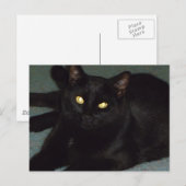 Golden ogen briefkaart (Voorkant / Achterkant)