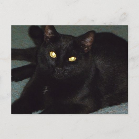 Golden ogen briefkaart (Voorkant)