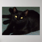 Golden ogen poster (Voorkant)