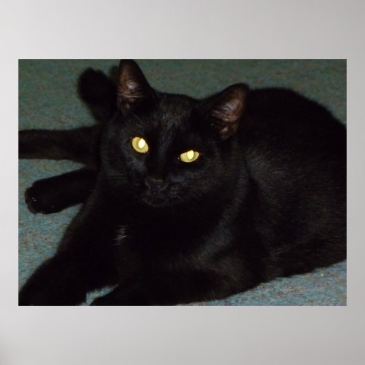 Golden ogen poster (Voorkant)