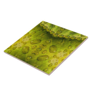 Golden Olive Envelope Tegeltje