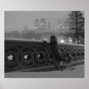 Golden op Bow Bridge in sneeuw Poster