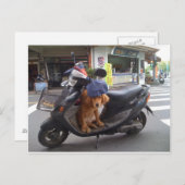 Golden op scooter Briefkaart (Voorkant / Achterkant)