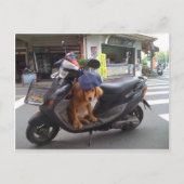 Golden op scooter Briefkaart (Voorkant)