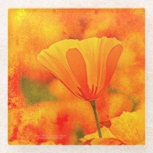 Golden Oranje California Poppy "Land van Sinaasapp Glazen Onderzetter