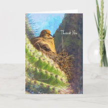 Golden Oranje California Poppy "Land van Sinaasapp