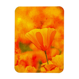 Golden Oranje California Poppy "Land van Sinaasapp Magneet