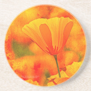 Golden Oranje California Poppy "Land van Sinaasapp Zandsteen Onderzetter