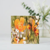 Golden Oranje Californië papavery acrylverf Kaart (Staand voorkant)