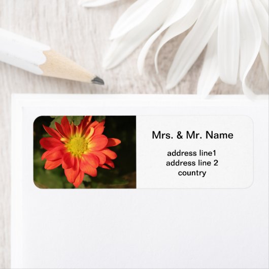 Golden, oranje dagerbloemen. etiket (Insitu)