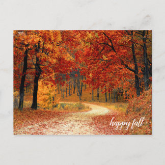 Golden Oranje en Gele Herfst Trees Natuur Trail Briefkaart