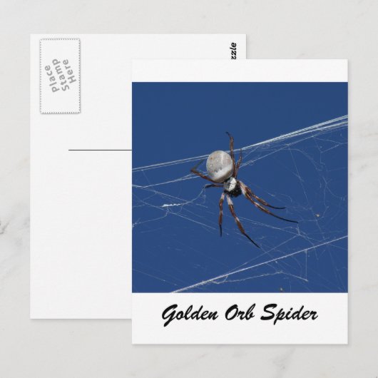 Golden Orb Spider Briefkaart (Voorkant / Achterkant)