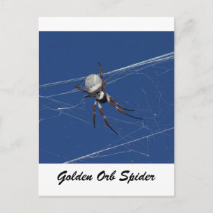 Golden Orb Spider Briefkaart