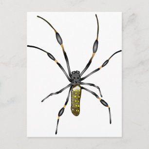 Golden Orb Spider Briefkaart