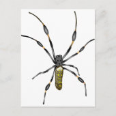 Golden Orb Spider Briefkaart (Voorkant)