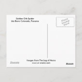 Golden Orb Spider Isla Barro Colorado, Panama Briefkaart (Achterkant)