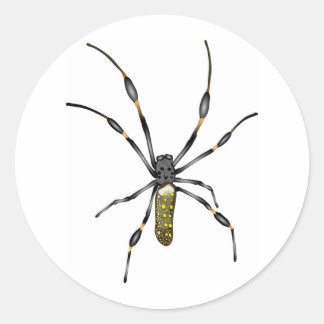 Golden Orb Spider Ronde Sticker
