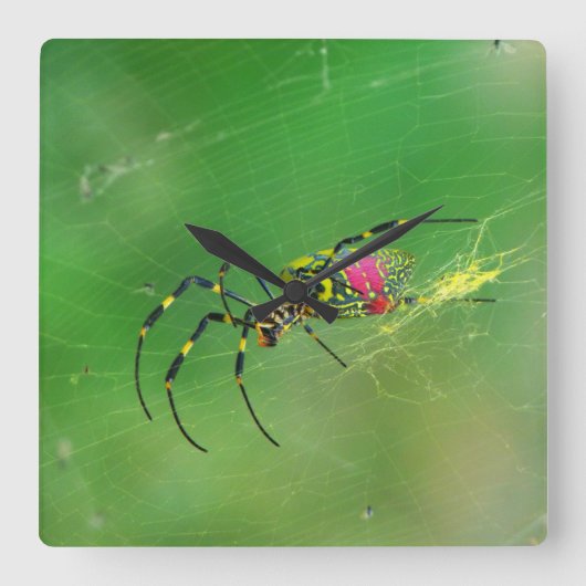 Golden Orb Weaver Spider Wall klok (Voorkant)