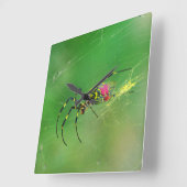 Golden Orb Weaver Spider Wall klok (Hoek)