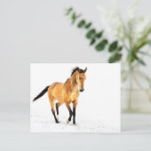 Golden paard in sneeuw briefkaart (Staand voorkant)