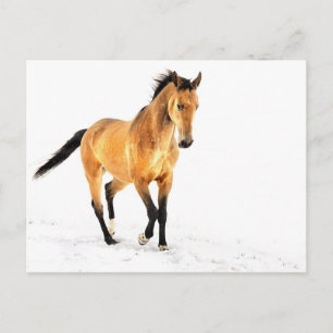 Golden paard in sneeuw briefkaart