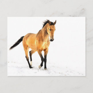 Golden paard in sneeuw briefkaart