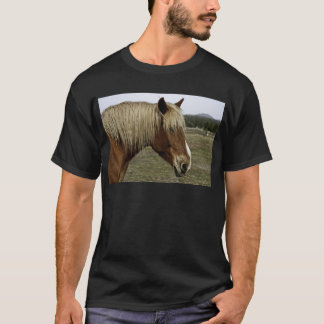 Golden paard t-shirt